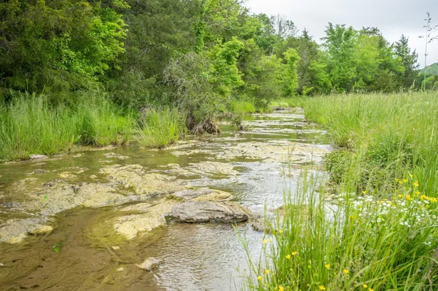a view of an ocean and a mountain