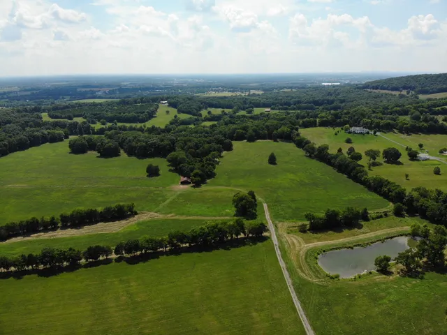 a view of a big yard with plants and large trees