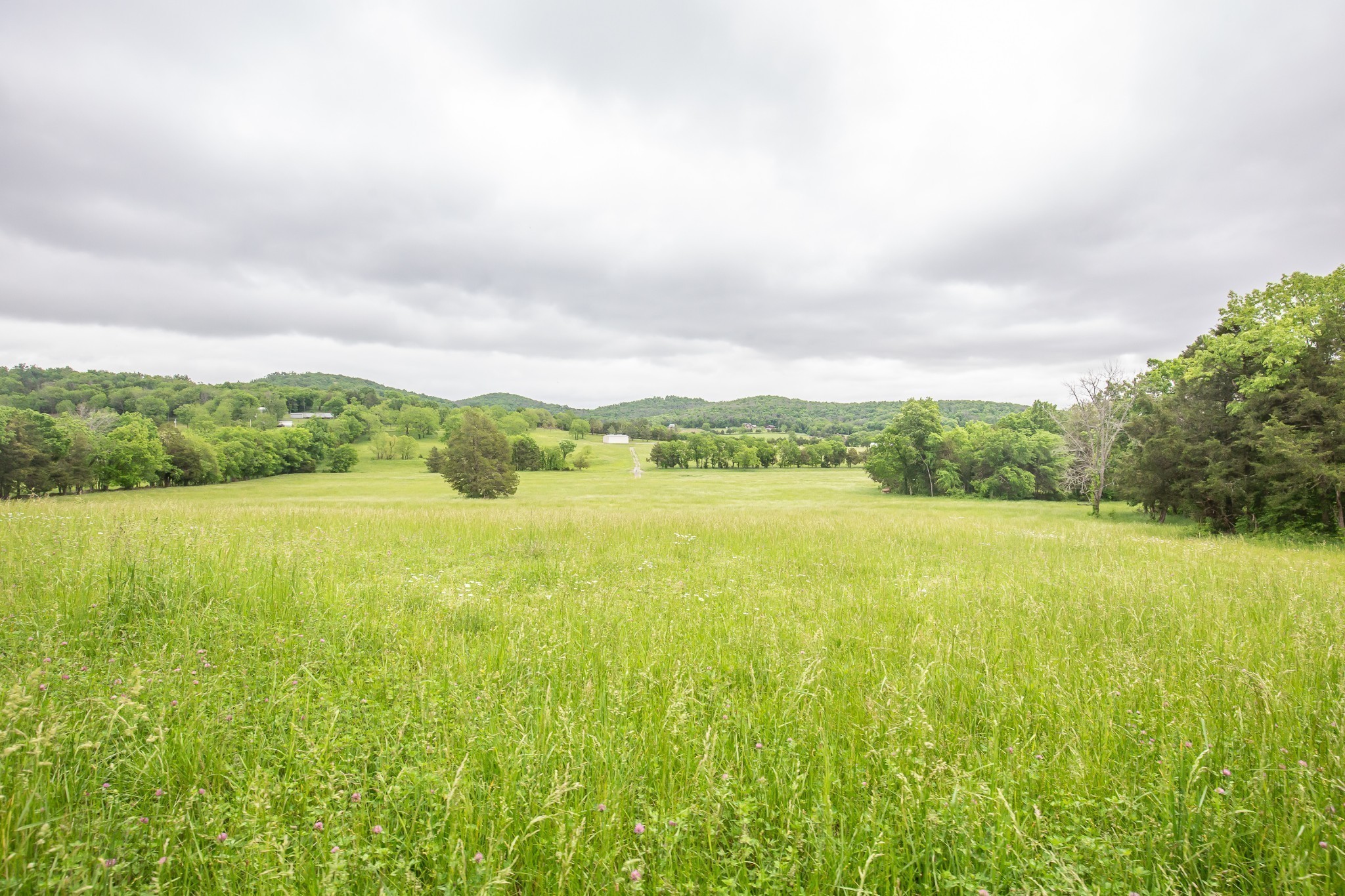 521 Coop Road Bell Buckle, TN 37020 - Photo 17 of 63 a view of an ocean and a mountain