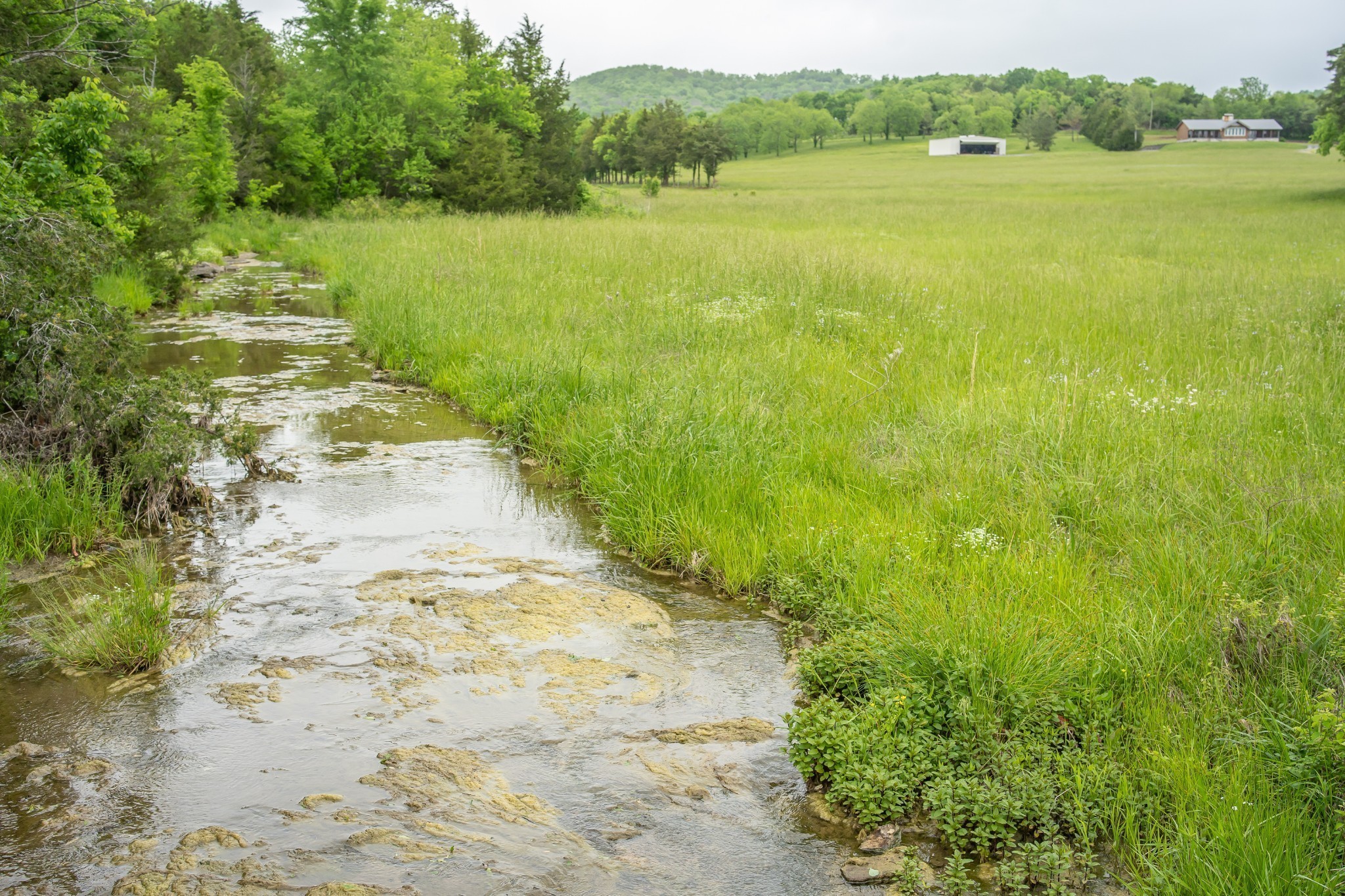 521 Coop Road Bell Buckle, TN 37020 - Photo 18 of 63 a view of a lake with a big yard