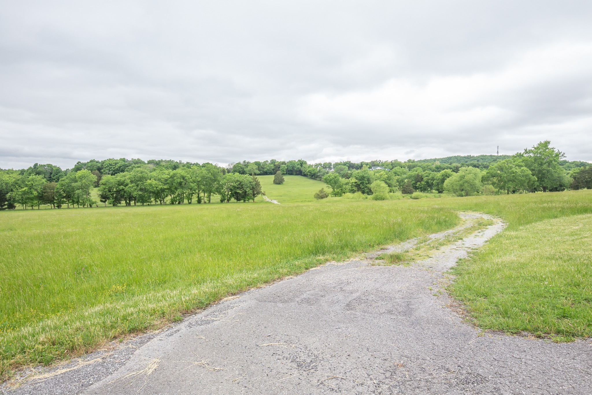 521 Coop Road Bell Buckle, TN 37020 - Photo 3 of 63