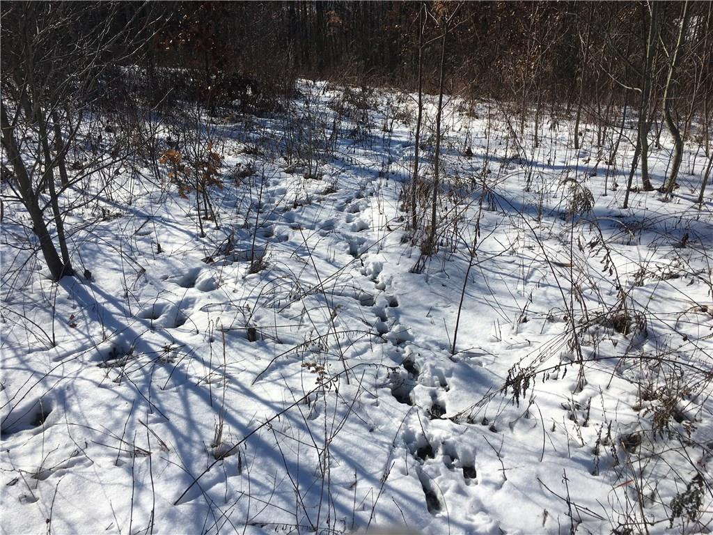 0 Boyd School Road Wampum, PA 16157 - Photo 11 of 16 Deer tracks everywhere on this parcel.