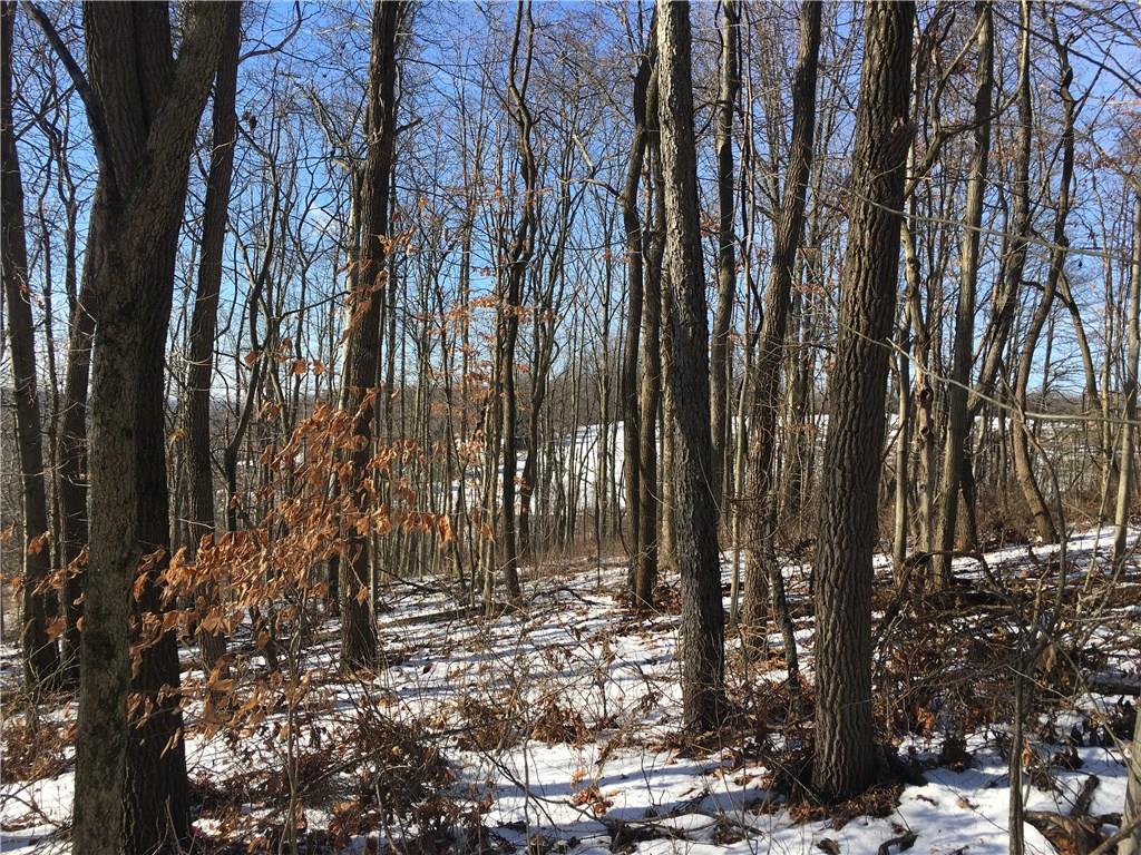 0 Boyd School Road Wampum, PA 16157 - Photo 12 of 16 Gas & electric at the roadway. 360 degree views from the summit.