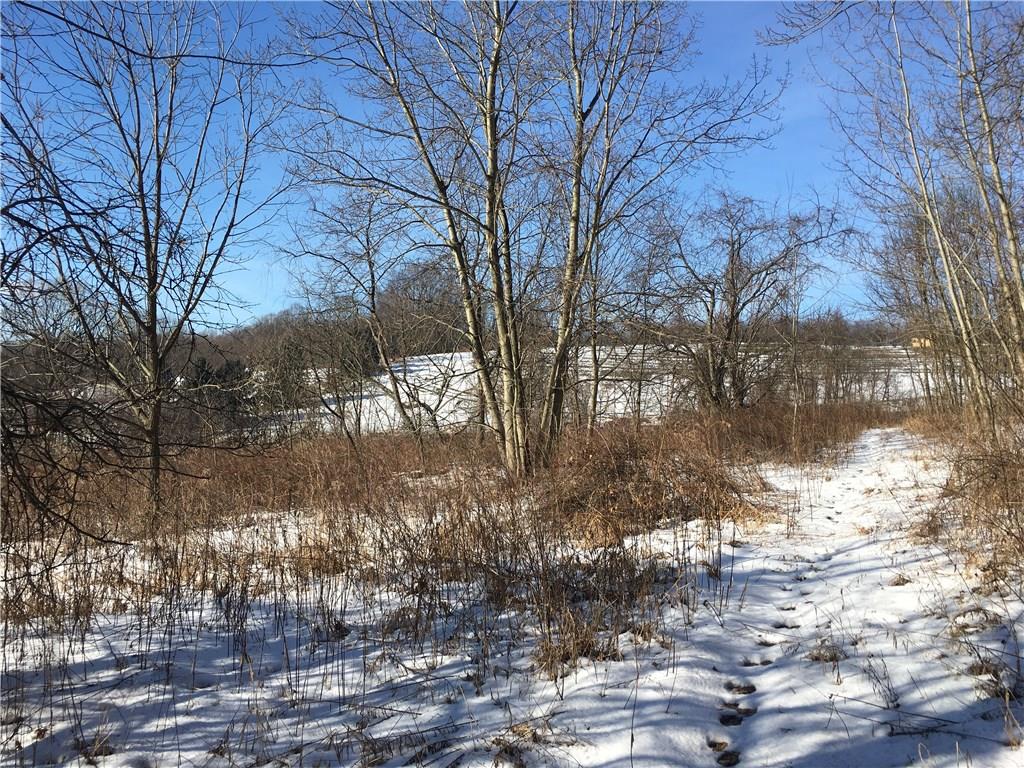 0 Boyd School Road Wampum, PA 16157 - Photo 13 of 16 Outstanding acreage. easy to walk and get a feel for the lay of the land and the timber potential.