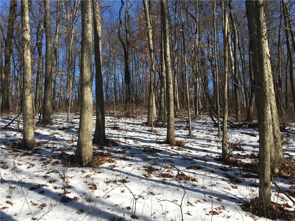 0 Boyd School Road Wampum, PA 16157 - Photo 4 of 16 Potential for timbering for new owner.