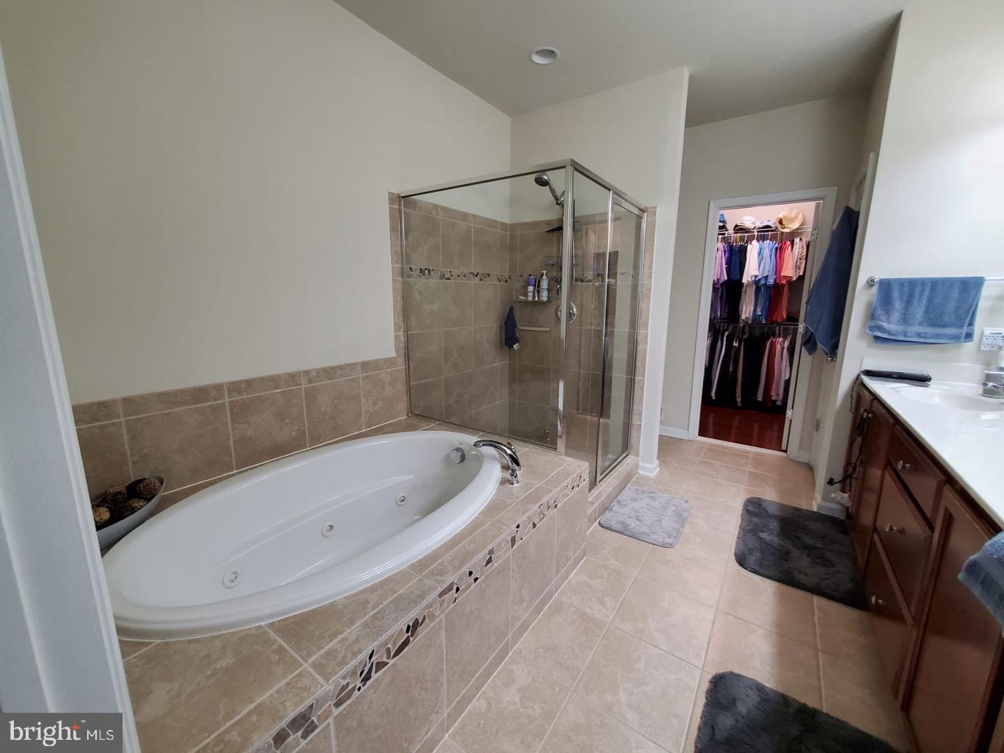 23575 Christina Ridge Square Ashburn, VA 20148 - Photo 18 of 38 Master Bath