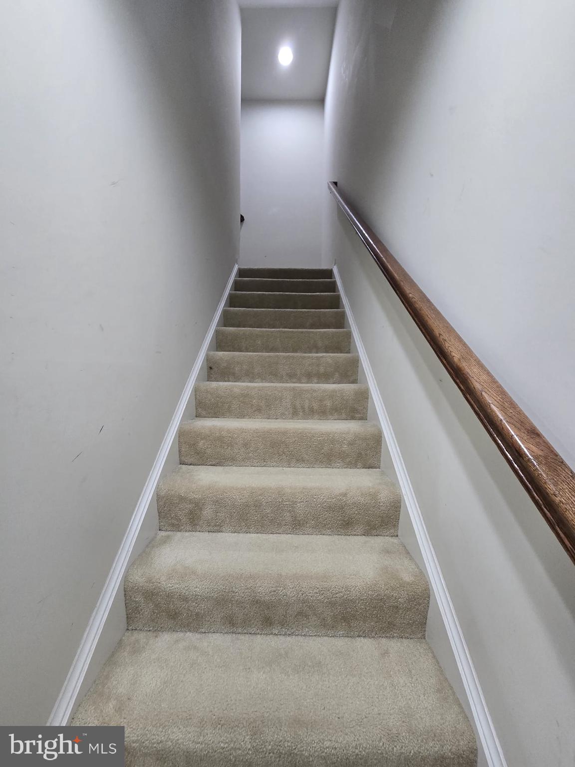 23575 Christina Ridge Square Ashburn, VA 20148 - Photo 29 of 38 Basement