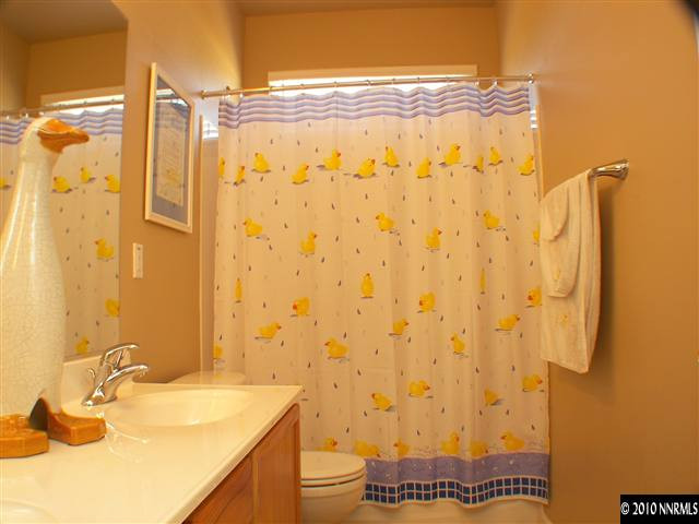 10799 Stone Hollow Drive Reno, NV 89521 - Photo 8 of 9 a bathroom with a sink toilet and shower