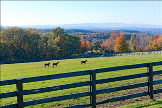 409 Overlook Road Millbrook, NY 12545 - Photo 3 of 15