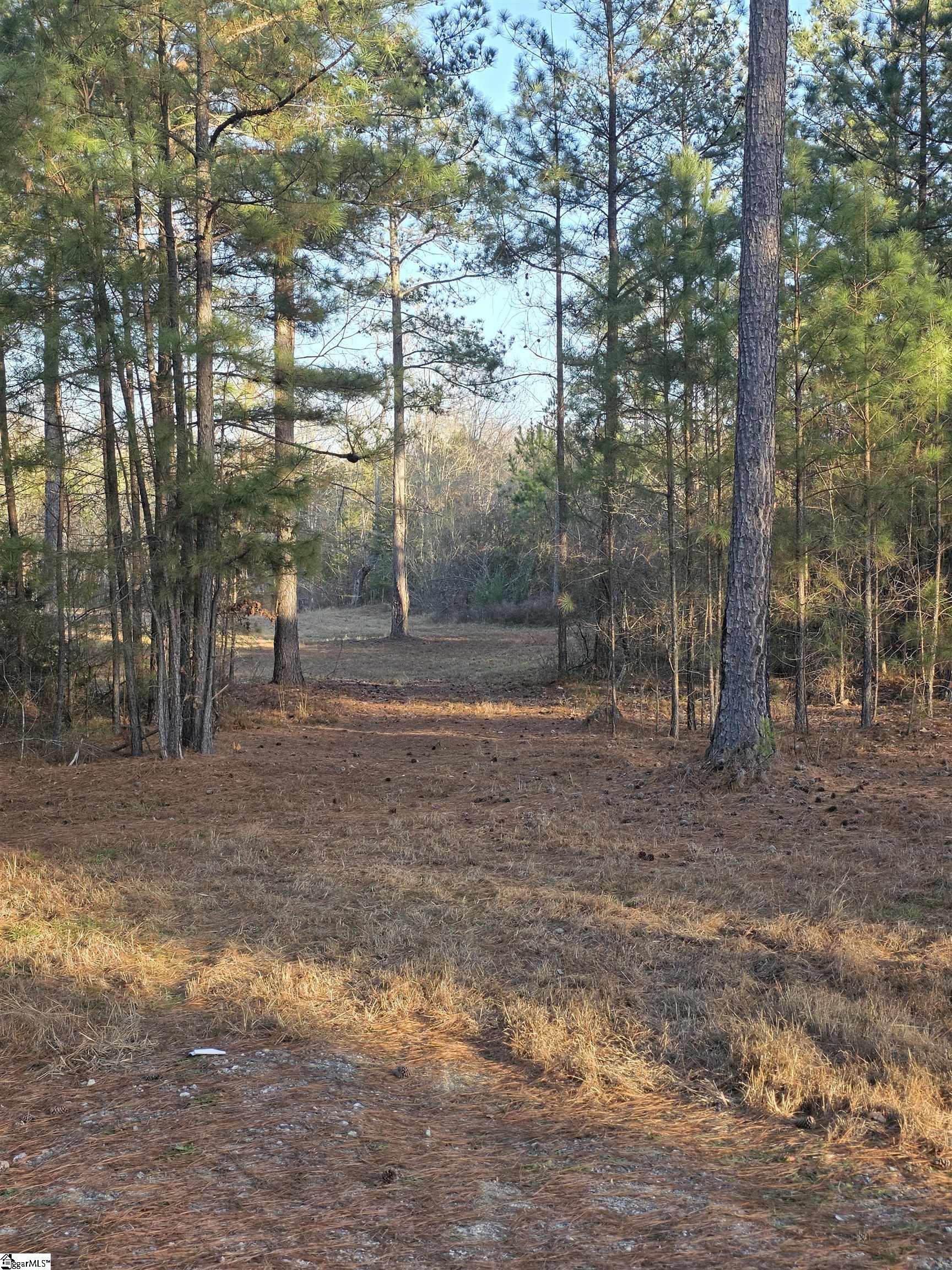 506 Trinity Church Road Laurens, SC 29360 - Photo 3 of 17 Gallery Image 3