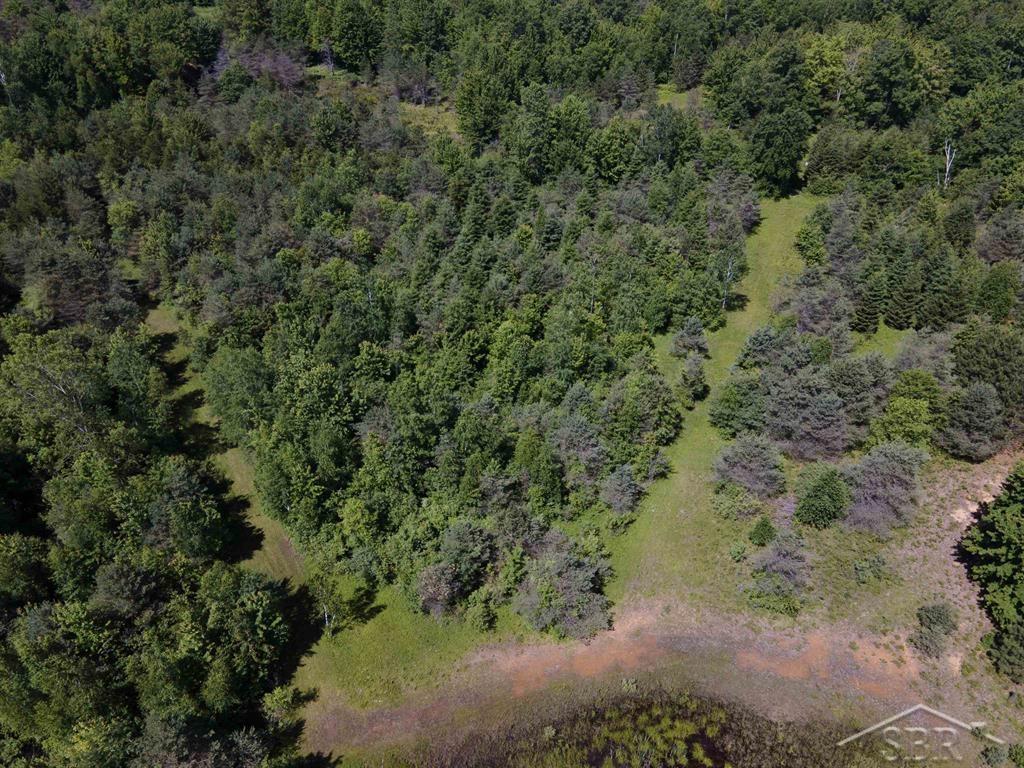 2202 West Huckleberry Road Sanford, MI 48657 - Photo 64 of 64