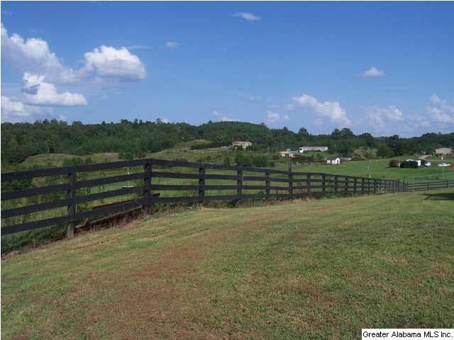 1776 County Road 96 Heflin, AL 36264 - Photo 23 of 31