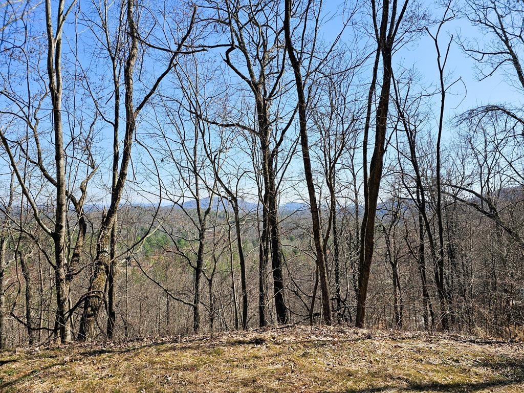 Lot 39 Merlin Trail Murphy, NC 28906 - Photo 3 of 21