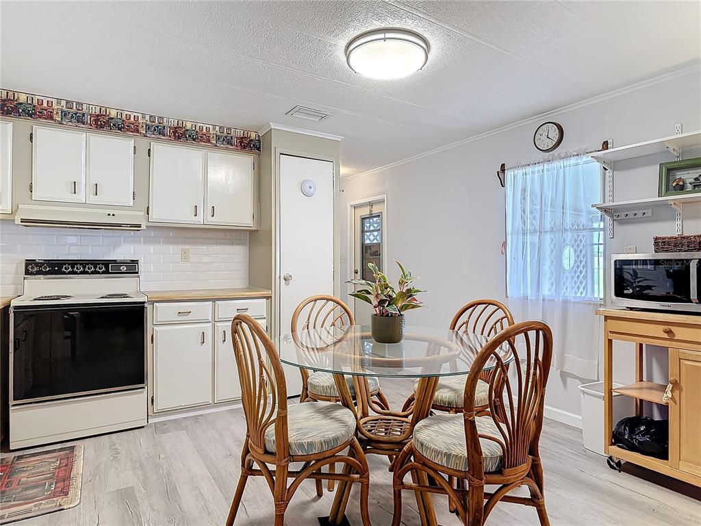 804 Swallow Lane Osteen, FL 32764 - Photo 12 of 29