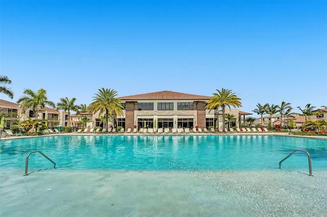 a view of a swimming pool with a garden and plants