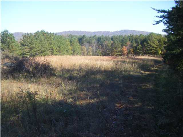 162 Hullander Hollow Road Ringgold, GA 30736 - Photo 1 of 5 Primary Photo