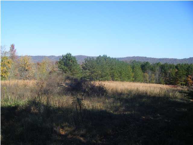 162 Hullander Hollow Road Ringgold, GA 30736 - Photo 3 of 5 Additional Photo