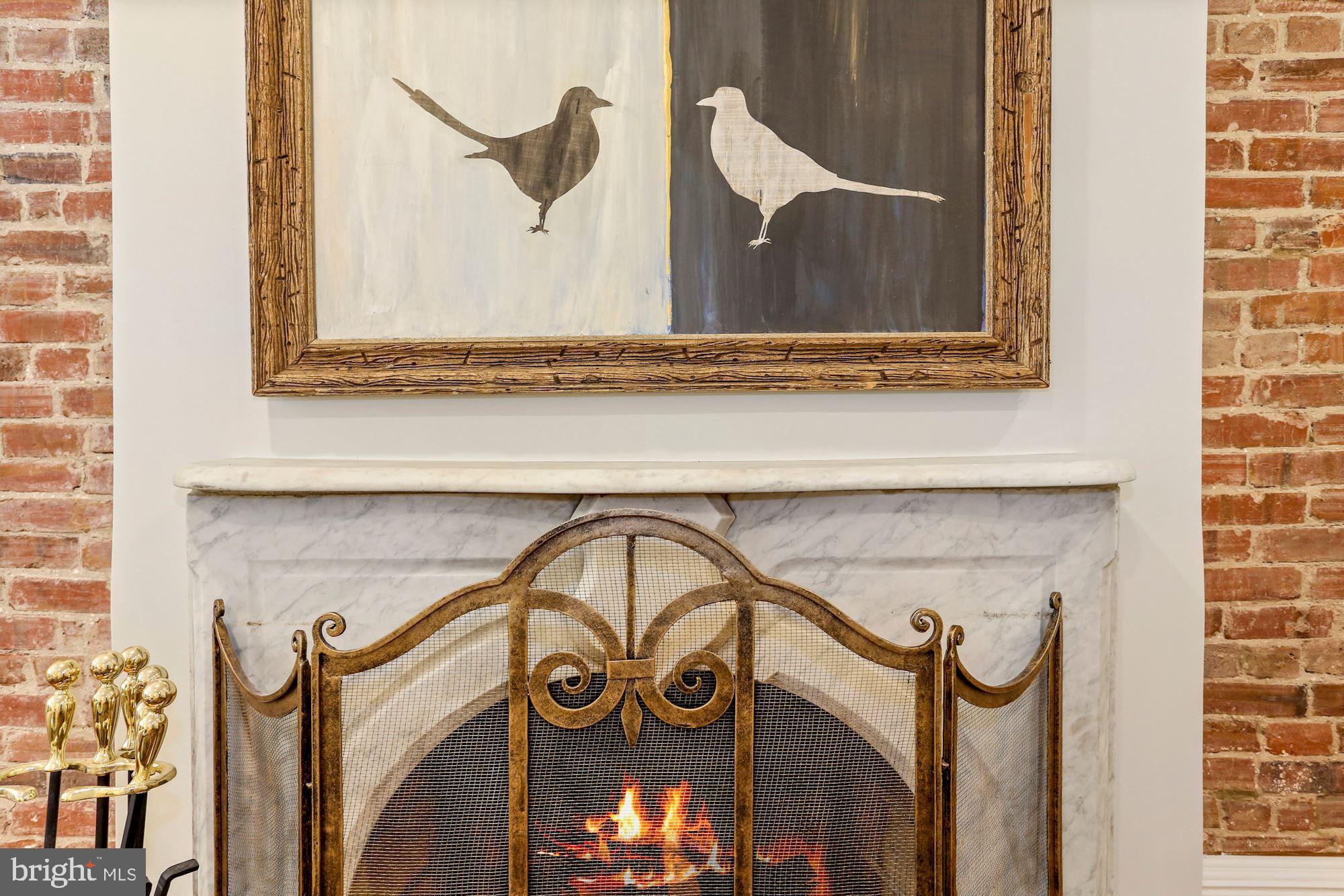 107 5th Street Southeast Washington, DC 20003 - Photo 19 of 32 Historic marble fireplace in family room