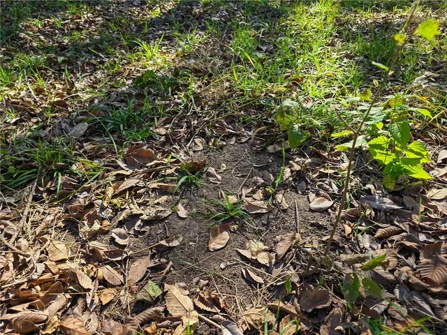 $2,515,439 | 121st Road, Arkansas City, KS 67005