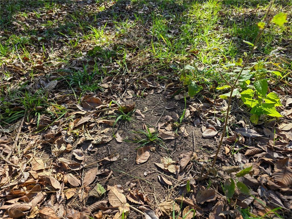 121st Road Arkansas City, KS 67005 - Photo 12 of 90
