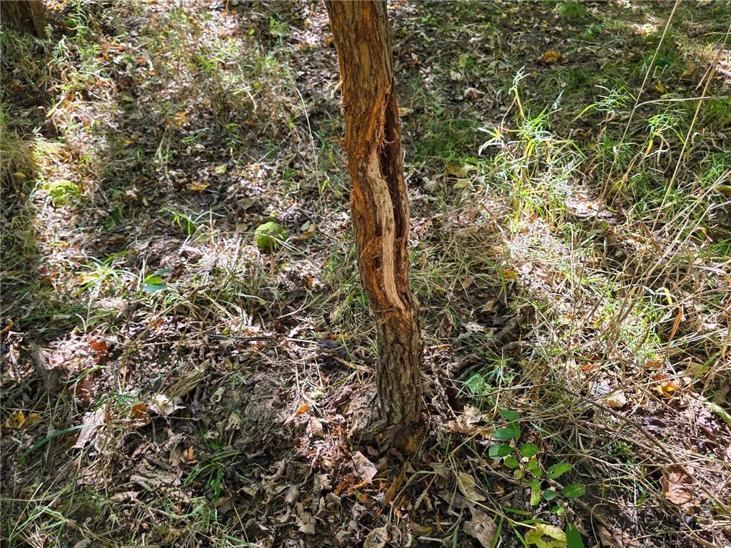 121st Road Arkansas City, KS 67005 - Photo 36 of 90