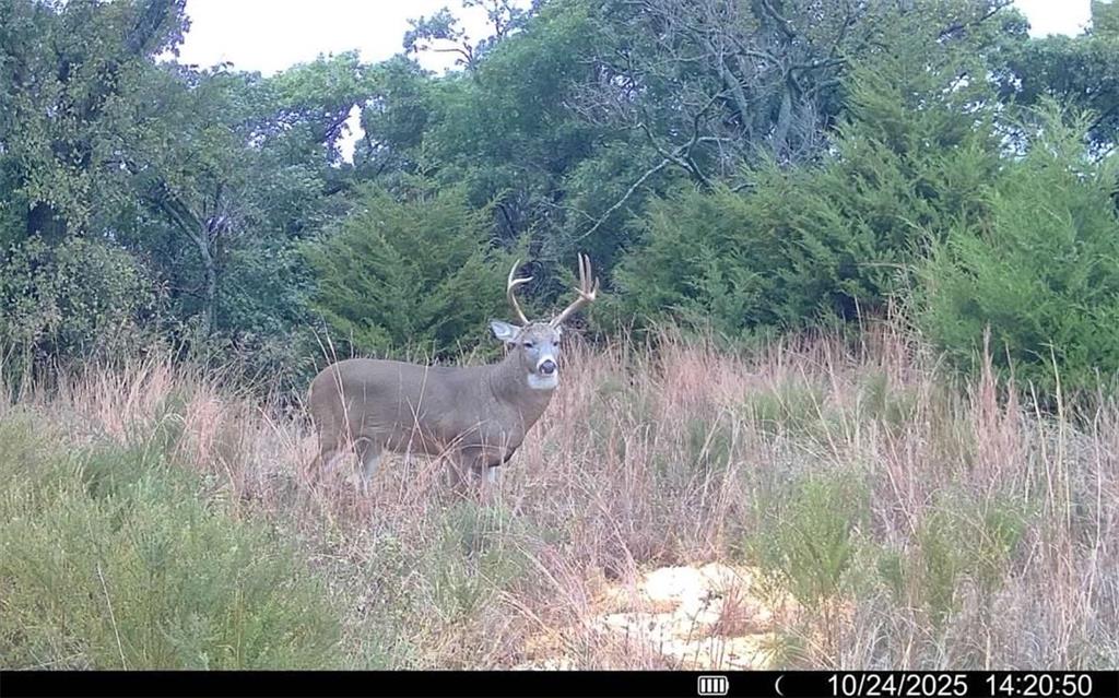 121st Road Arkansas City, KS 67005 - Photo 86 of 90