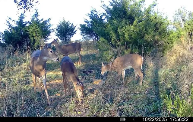 $2,515,439 | 121st Road, Arkansas City, KS 67005