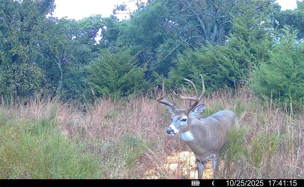 121st Road Arkansas City, KS 67005 - Photo 90 of 90