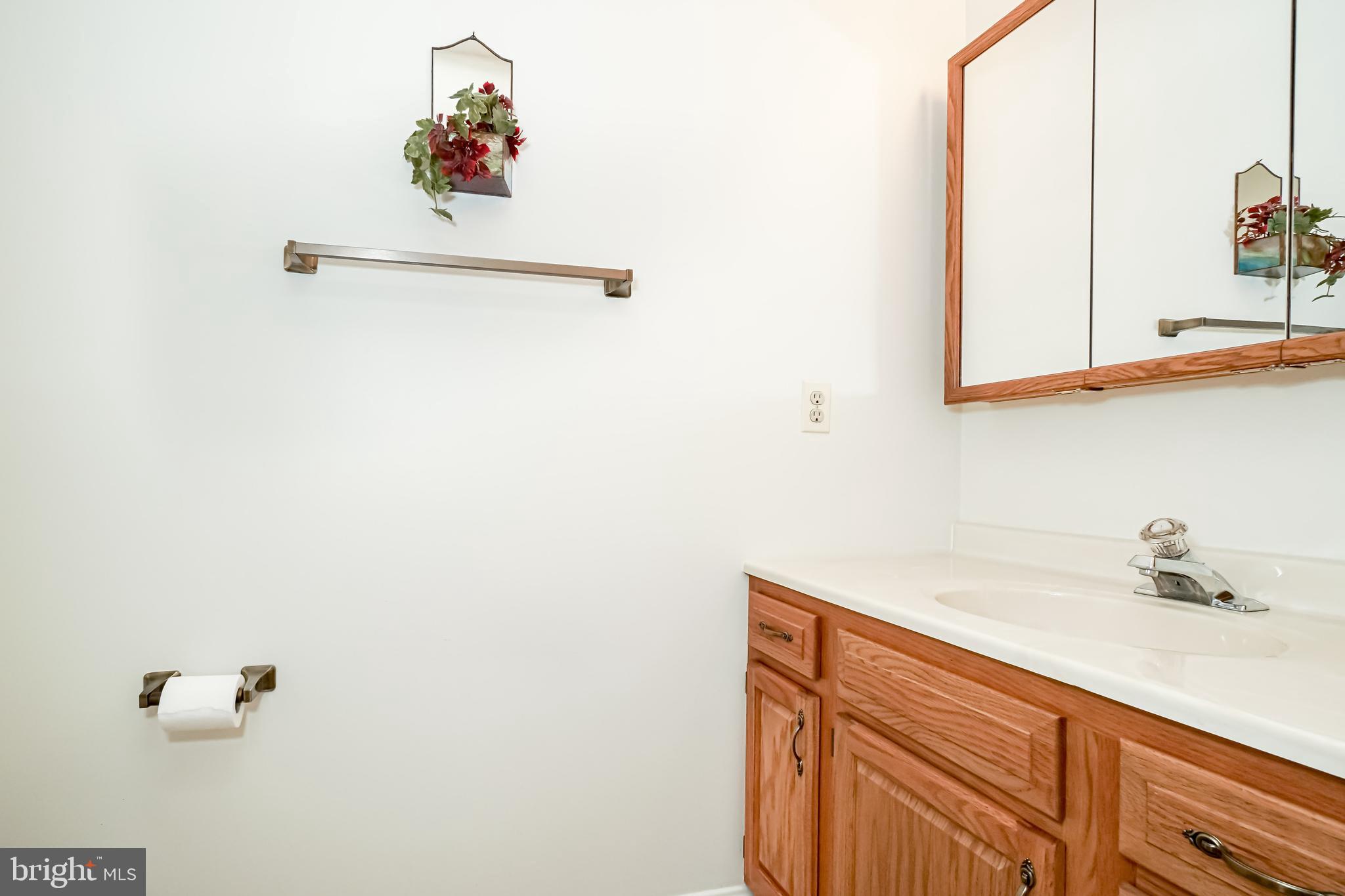 112 Turtleback Court Rising Sun, MD 21911 - Photo 11 of 23 a bathroom with a sink and a mirror