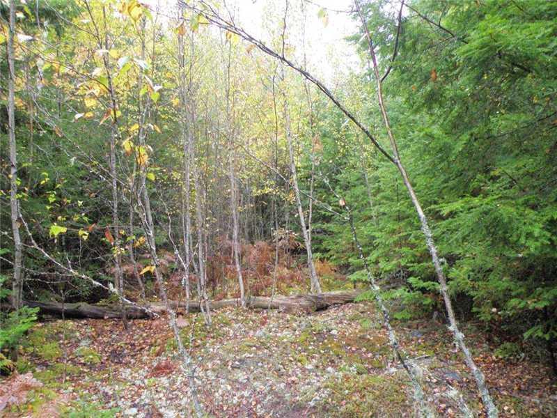 Lot 9 Lower Drew Road Kingman, ME 04451 - Photo 3 of 8 Land.