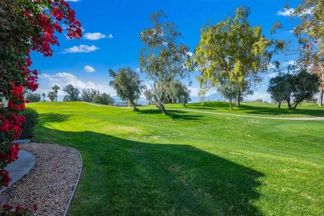 a view of a big yard with a large tree