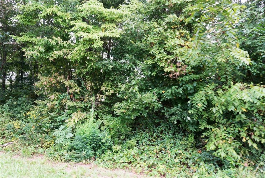 502 Section House Road, Unit 1 2 3 Hickory, NC 28601 - Photo 7 of 12 Gallery Image 7