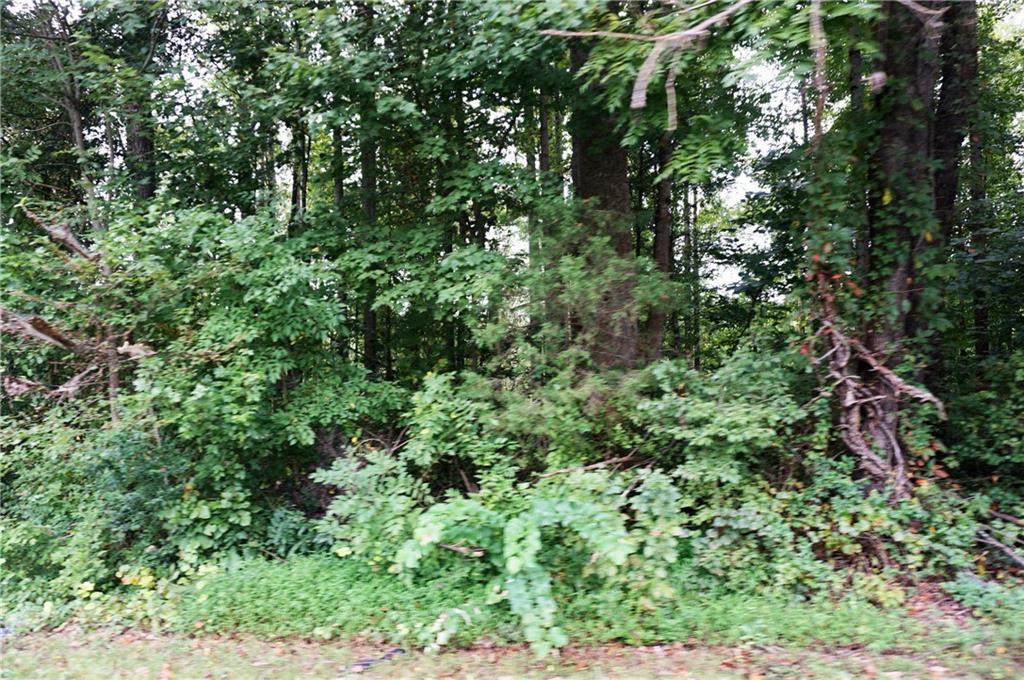502 Section House Road, Unit 1 2 3 Hickory, NC 28601 - Photo 8 of 12 Gallery Image 8