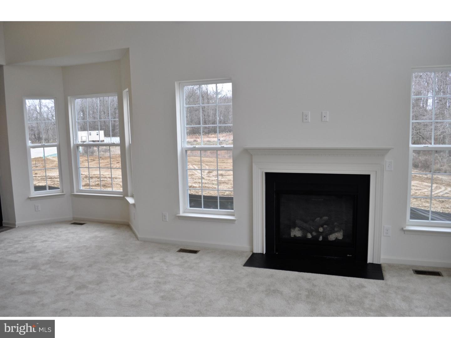 519 Colbert Road Townsend, DE 19734 - Photo 8 of 19 Fireplace