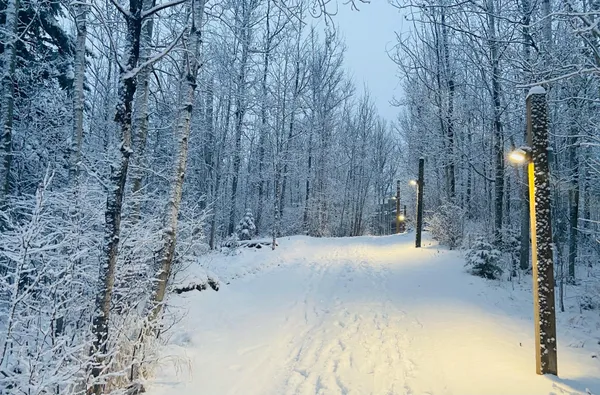 $219,900 | 128 Bridge Run Lane, Unit B, Lutsen, MN 55612