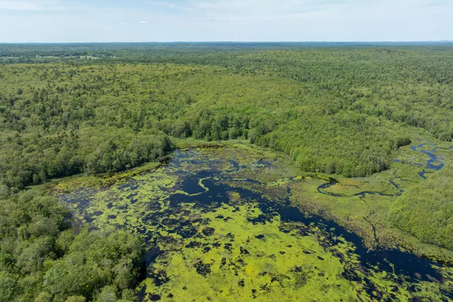 $400,000 | Lot 46 Carl Bailey, Walpole, ME 04573