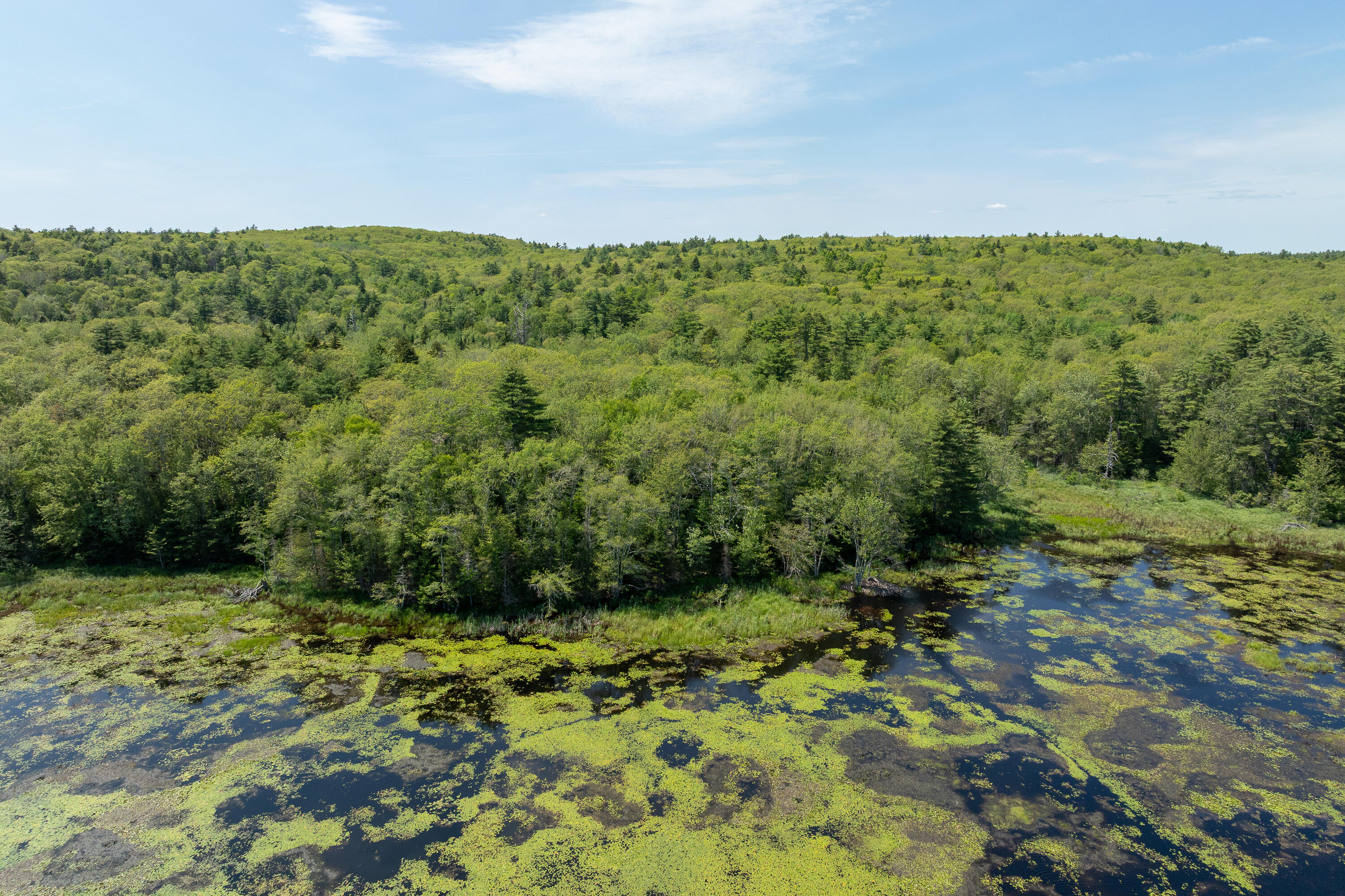 Lot 46 Carl Bailey Walpole, ME 04573 - Photo 4 of 5 (8)_Map 008 Lot 46 Bristol(TP)