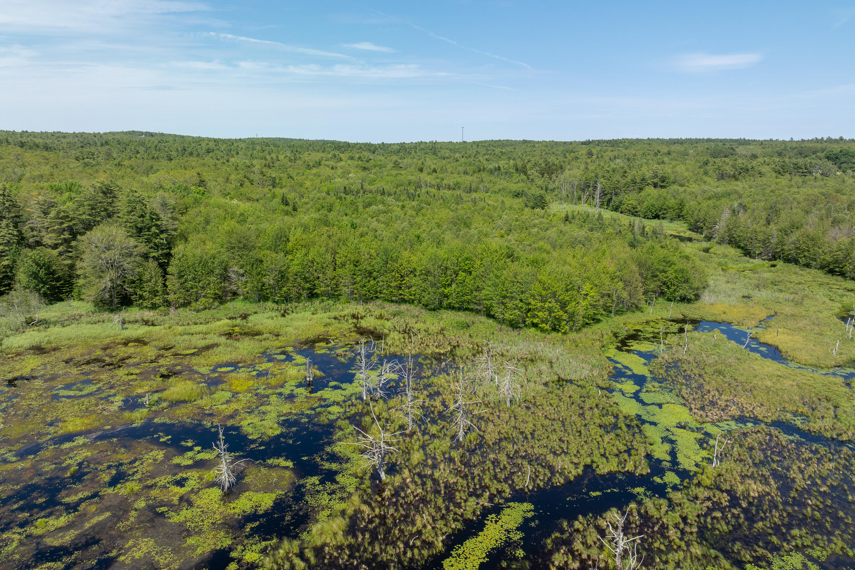 Lot 46 Carl Bailey Walpole, ME 04573 - Photo 5 of 5 (9)_Map 008 Lot 46 Bristol(TP)