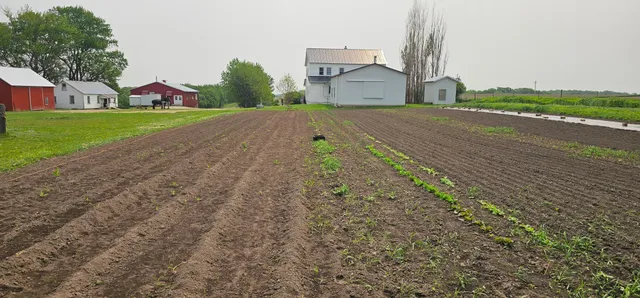 $379,900 | 16325 351st Avenue, Harmony, MN 55939