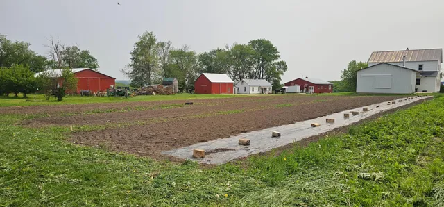 $379,900 | 16325 351st Avenue, Harmony, MN 55939