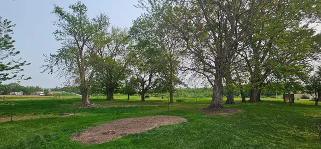 $379,900 | 16325 351st Avenue, Harmony, MN 55939