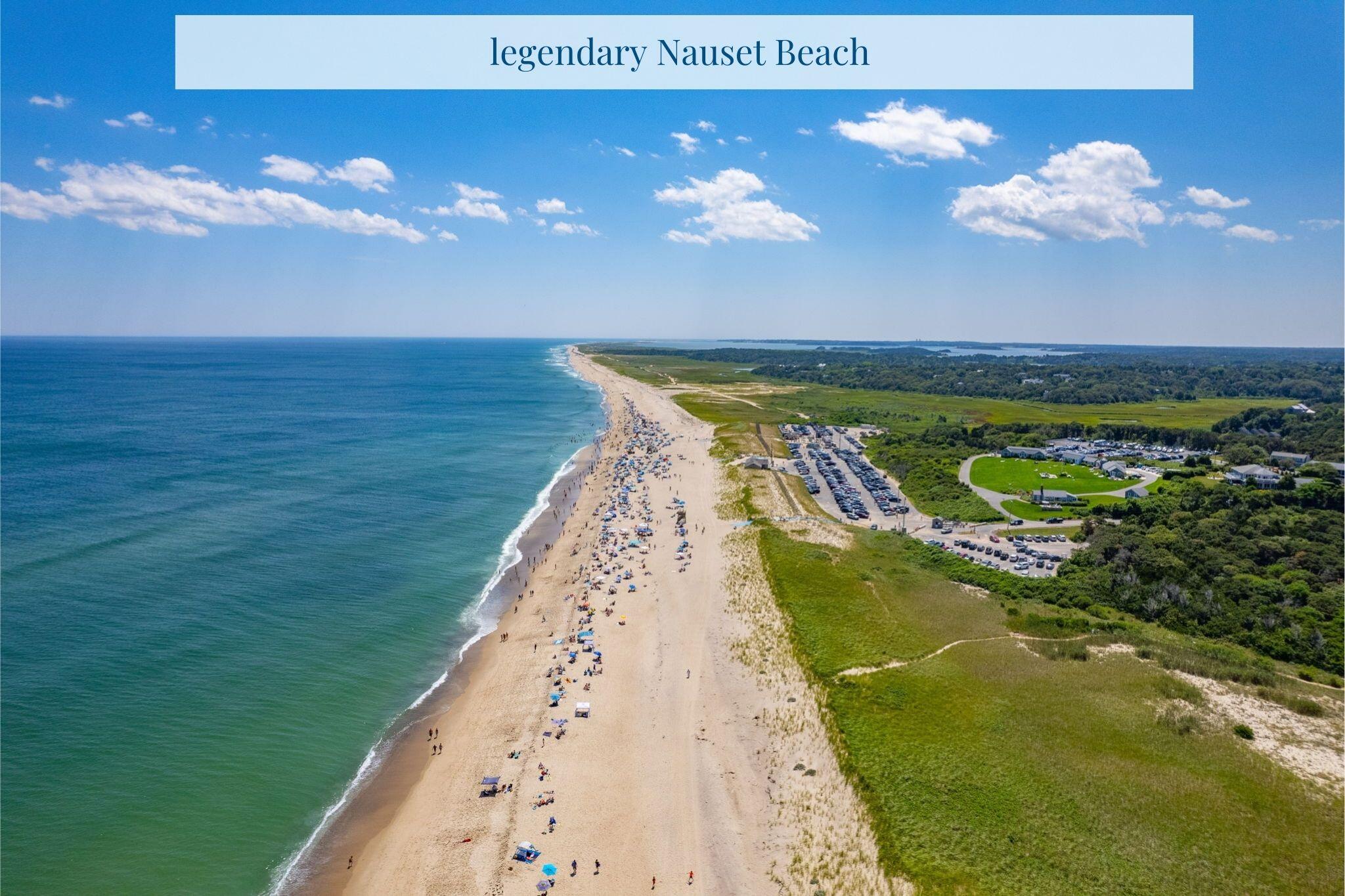 6 Ocean Road Orleans, MA 02653 - Photo 39 of 43 Nauset Beach Orleans cape Cod