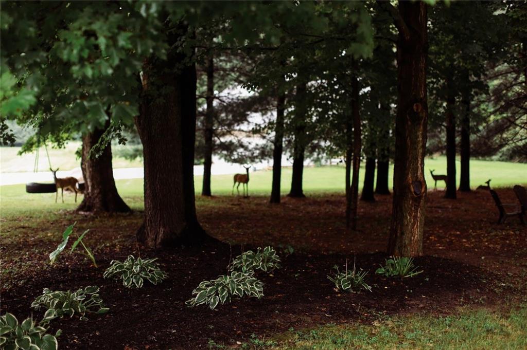 811 Sugar Tree Road Crawfordsville, IN 47933 - Photo 5 of 46