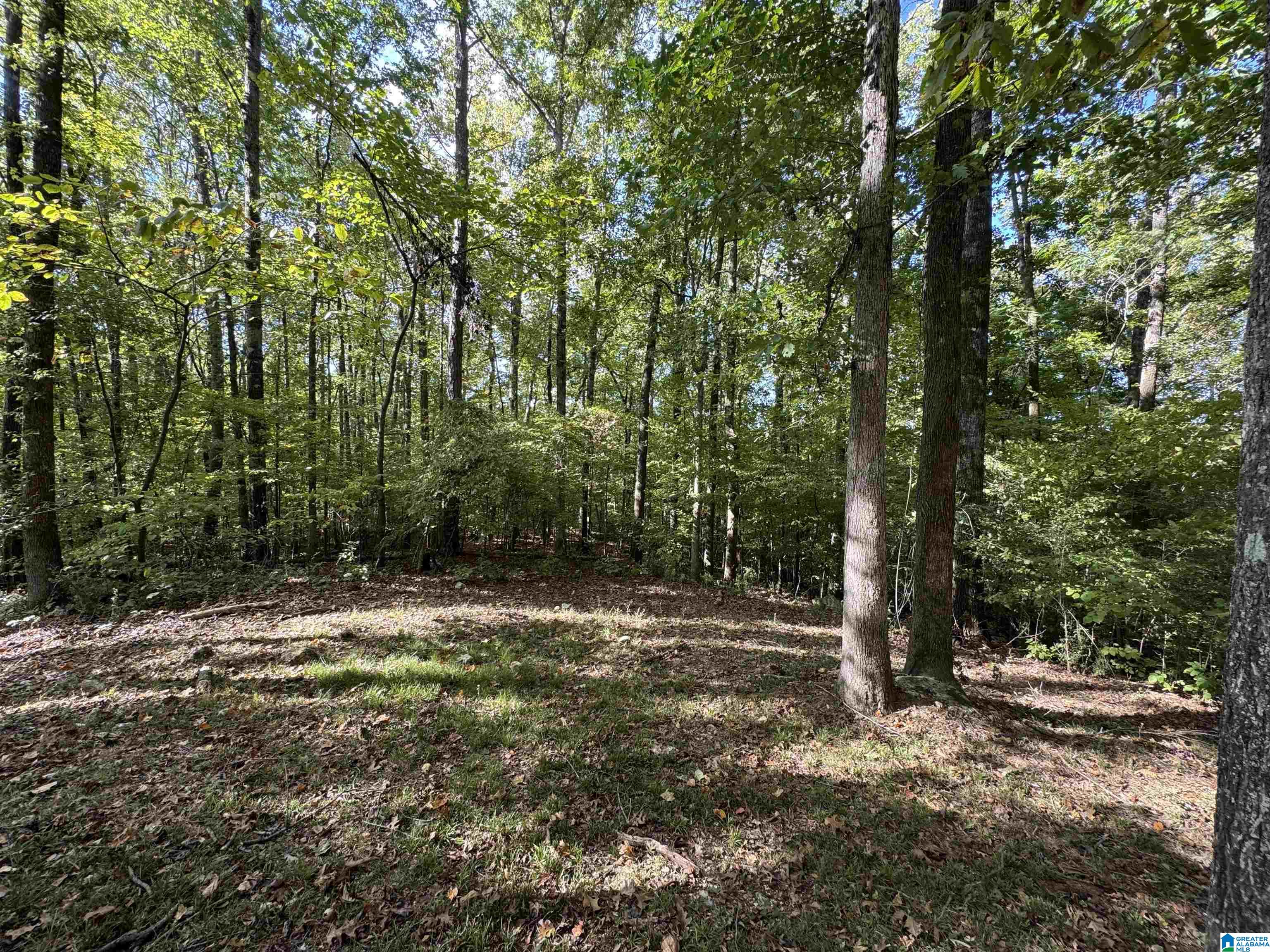 59 Kent Dairy Road Alabaster, AL 35114 - Photo 21 of 24