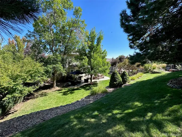 a view of a park with large trees