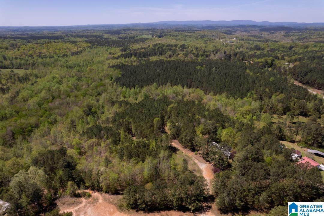 0 County Road 204, Unit 1 Heflin, AL 36264 - Photo 3 of 9