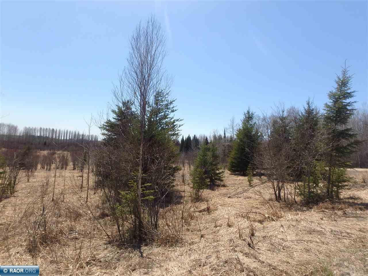Tbd Ralph Road Angora, MN 55703 - Photo 3 of 16