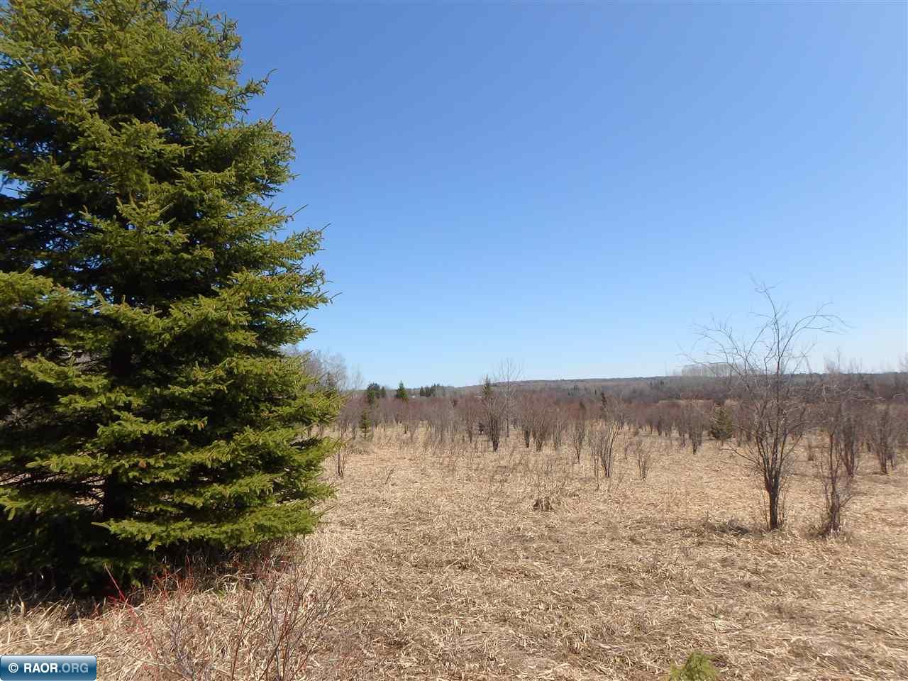 Tbd Ralph Road Angora, MN 55703 - Photo 4 of 16