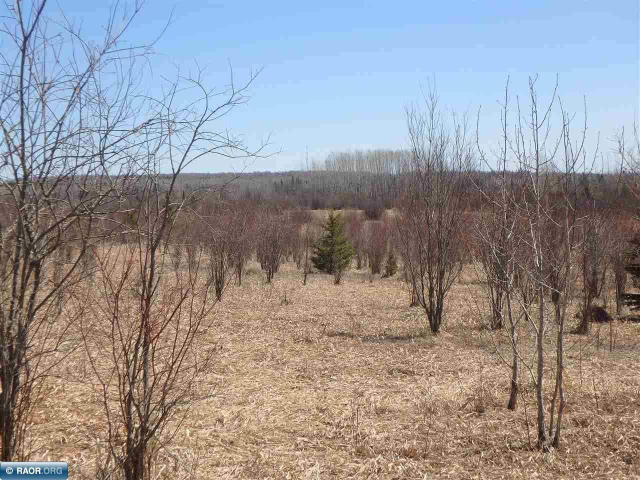 Tbd Ralph Road Angora, MN 55703 - Photo 9 of 16
