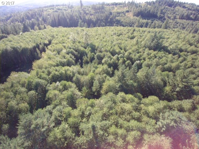 0 Northeast Thompson Road Yacolt, WA 98675 - Photo 21 of 23 Gallery Image 21